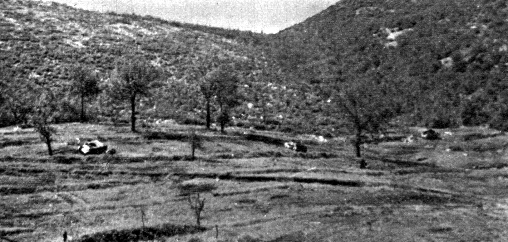<p>Montecassino, Masseria Albaneta, maggio 1944. Carri distrutti durante l’attacco del 19 marzo 1944.</p><p class='eng'>May 1944. Tanks destroyed on March 19, 1944.</p>