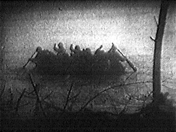<p>Rara immagine estratta da un filmato che mostra un canotto carico di soldati americani nel fiume Gari.</p>