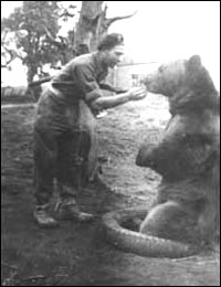 <p class='eng'>Voytek, The Iranian Soldier-Bear with a soldier of 22nd Transport Division (Artillery Supply) of the Polish 2nd Army Corps.</p>