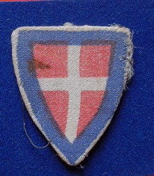 <p>ITALIA. Distintivo con scudo di Savoia del I Raggruppamento motorizzato, portato sopra la tasca sinistra della giubba.</p>