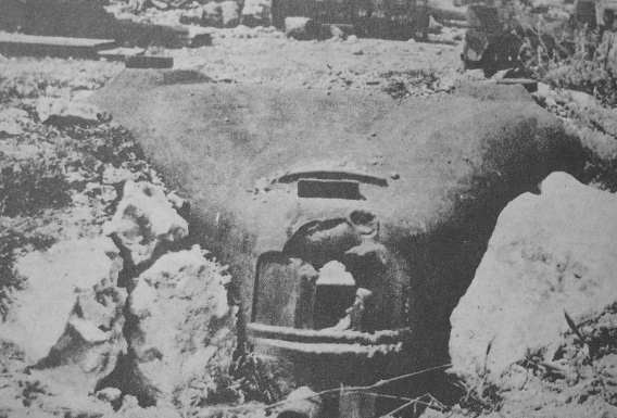 <p>Veduta anteriore di una delle numerose casematte in acciaio per mitragliatrice della Linea Senger, ripresa nelle vicinanze di Piedimonte San Germano.</p>