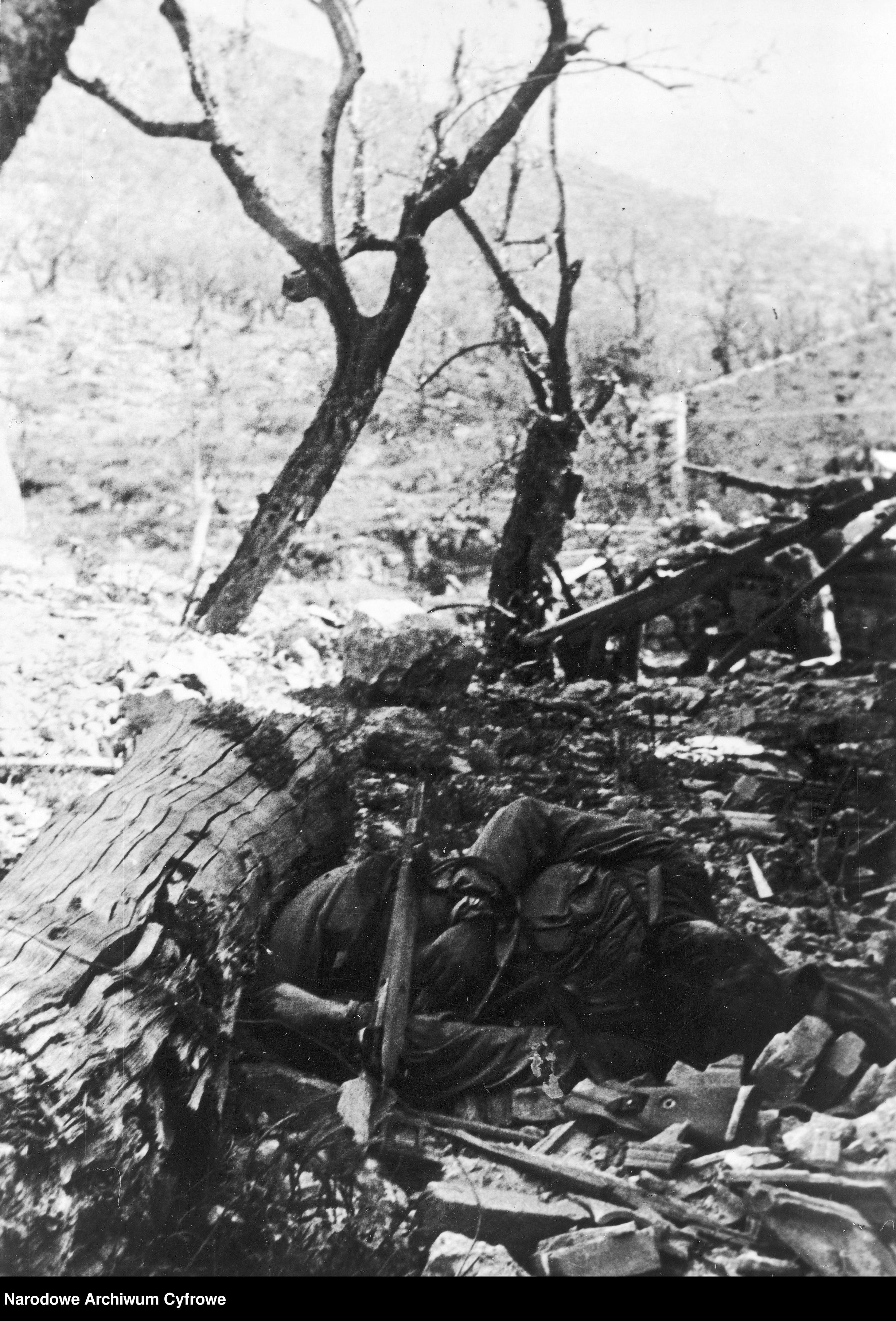 <p class='eng'>1944/05<br />A killed German soldier.<br />NAC 3/24/0/-/457/22</p>